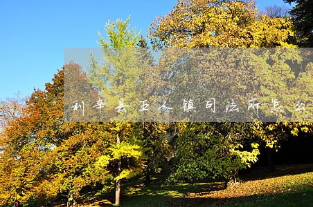 利辛县王人镇司法所怎么样 利辛县王人镇司法所怎么样