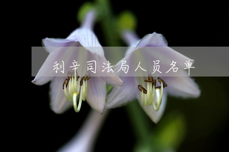 利辛司法局人员名单 利辛司法局人员名单