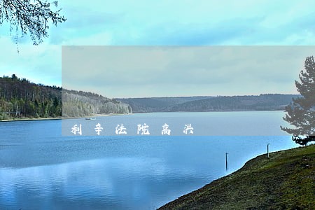 利辛法院高洪