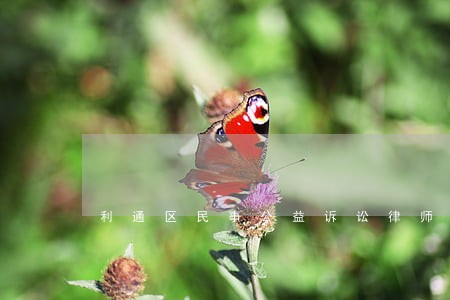利通区民事公益诉讼律师 利通区民事公益诉讼律师