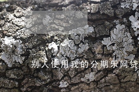 别人使用我的分期乐网贷逾期 别人使用我的分期乐网贷逾期