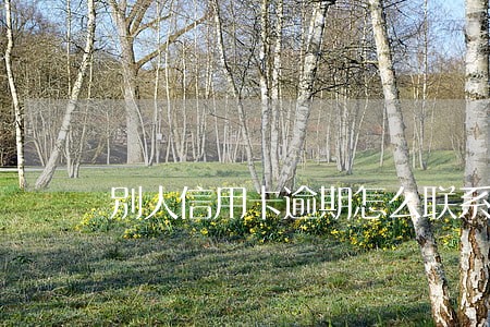 别人信用卡逾期怎么联系到我电话 别人信用卡逾期怎么联系到我电话