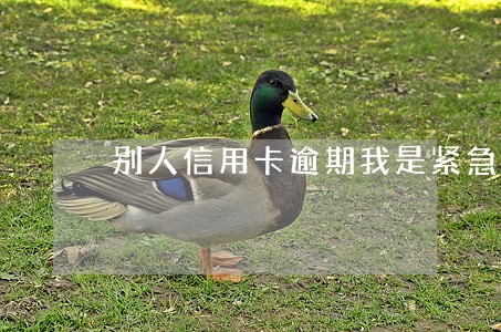 别人信用卡逾期我是紧急联系人 别人信用卡逾期我是紧急联系人