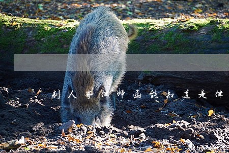 别人寄律师函能知道是律师函吗 别人寄律师函能知道是律师函吗