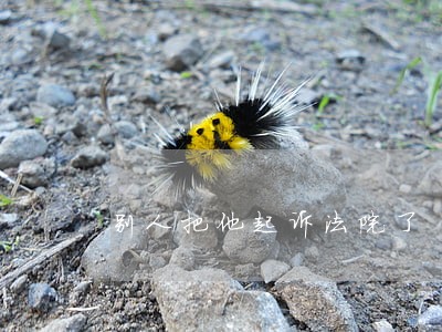 别人把他起诉法院了 别人把他起诉法院了