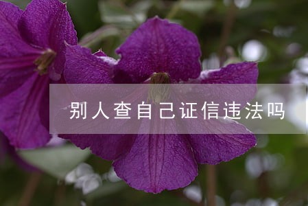 别人查自己证信违法吗 别人查自己证信违法吗