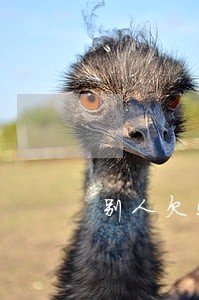 别人欠50万3年多少逾期费 别人欠50万3年多少逾期费