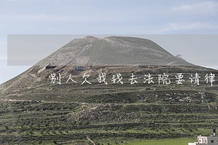 别人欠我钱去法院要请律师吗