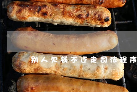 别人欠钱不还走司法程序