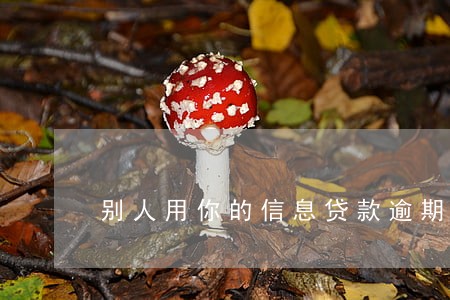 别人用你的信息贷款逾期 别人用你的信息贷款逾期