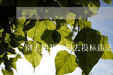 别人用我公司去投标违法吗 别人用我公司去投标违法吗