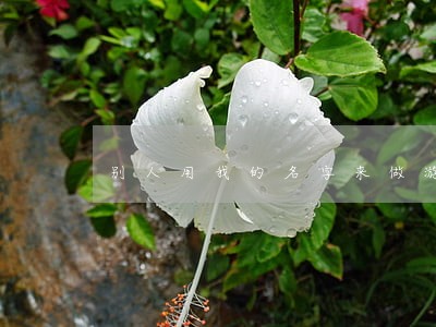 别人用我的名字来做游戏名违法吗 别人用我的名字来做游戏名违法吗