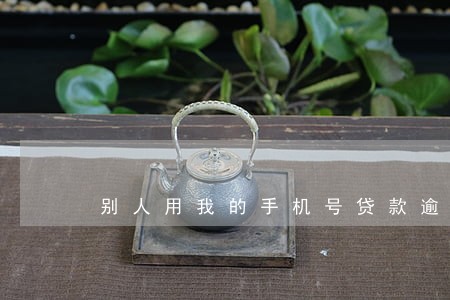 别人用我的手机号贷款逾期 别人用我的手机号贷款逾期