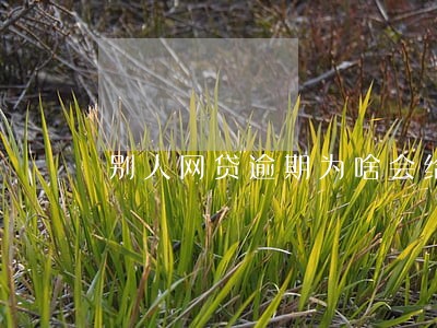 别人网贷逾期为啥会给我发短信 别人网贷逾期为啥会给我发短信