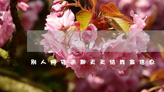 别人网贷逾期天天给我发信息