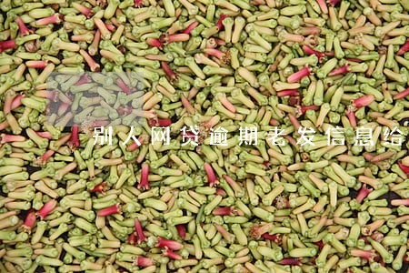 别人网贷逾期老发信息给我 别人网贷逾期老发信息给我