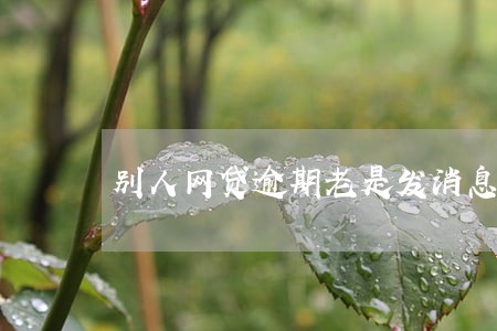 别人网贷逾期老是发消息给我 别人网贷逾期老是发消息给我