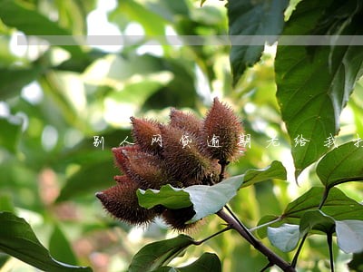 别人网贷逾期老给我打电话 别人网贷逾期老给我打电话
