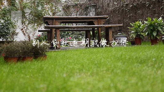 别人贷款逾期我做担保 别人贷款逾期我做担保