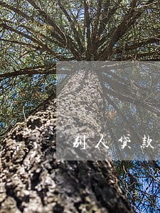 别人贷款逾期用我的号码 别人贷款逾期用我的号码