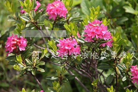 别人起诉你法院传票多久能到 别人起诉你法院传票多久能到