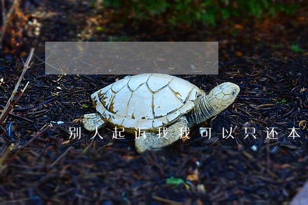 别人起诉我我可以只还本金吗 别人起诉我我可以只还本金吗