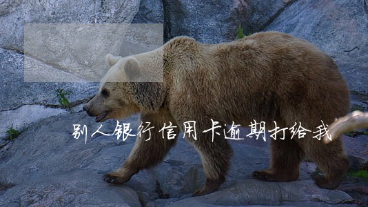 别人银行信用卡逾期打给我