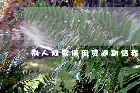 别人阿里信用贷逾期给我打电话 别人阿里信用贷逾期给我打电话