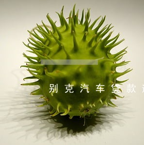 别克汽车贷款逾期 别克汽车贷款逾期