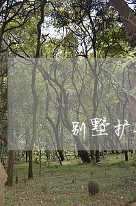 别墅扩建阳台违法