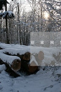 别家网贷上逾期还能贷哪家 别家网贷上逾期还能贷哪家