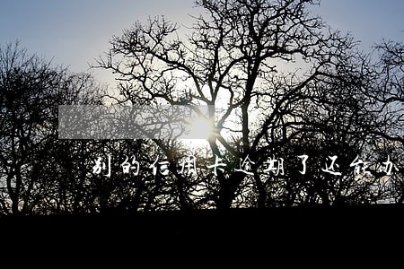 别的信用卡逾期了还能办吗 别的信用卡逾期了还能办吗