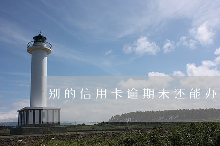别的信用卡逾期未还能办别的吗 别的信用卡逾期未还能办别的吗