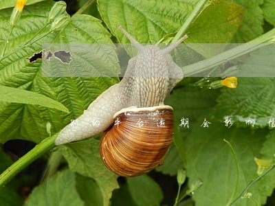 别的平台逾期会影响信用卡吗 别的平台逾期会影响信用卡吗
