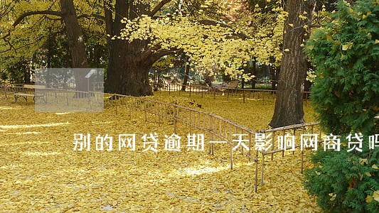 别的网贷逾期一天影响网商贷吗