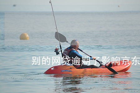 别的网贷逾期了影响京东白条吗 别的网贷逾期了影响京东白条吗