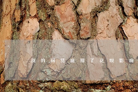 别的网贷逾期了花呗影响使用吗 别的网贷逾期了花呗影响使用吗