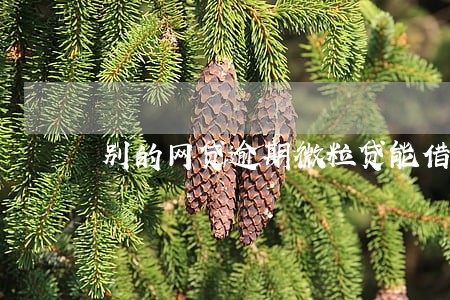 别的网贷逾期微粒贷能借出去钱吗 别的网贷逾期微粒贷能借出去钱吗
