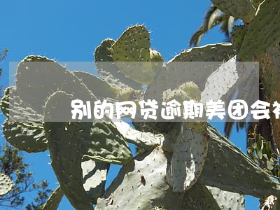 别的网贷逾期美团会被关闭吗 别的网贷逾期美团会被关闭吗