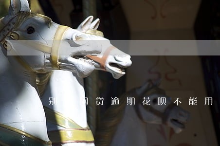 别的网贷逾期花呗不能用怎么回事 别的网贷逾期花呗不能用怎么回事