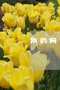 别的网贷逾期还能申请京东金条吗