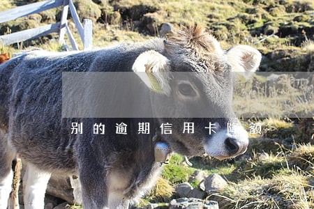 别的逾期信用卡降额 别的逾期信用卡降额