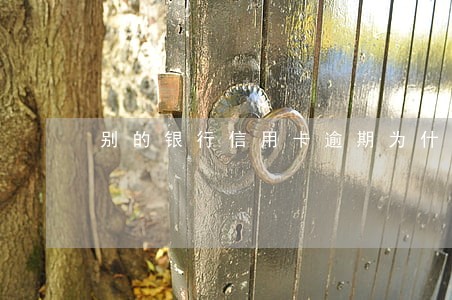 别的银行信用卡逾期为什么冻结 别的银行信用卡逾期为什么冻结