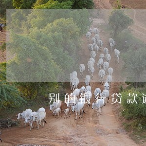 别的银行贷款逾期