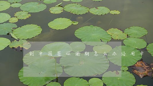 到中国签证逾期怎么办信用卡