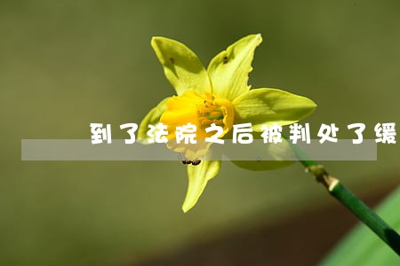 到了法院之后被判处了缓刑 到了法院之后被判处了缓刑