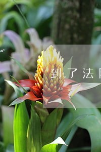 到了法院以后 到了法院以后