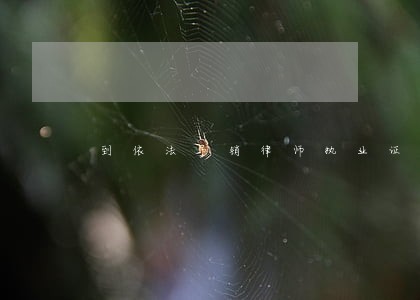 到依法吊销律师执业证书 到依法吊销律师执业证书