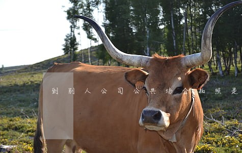 到别人公司公共场合拍照是否违法