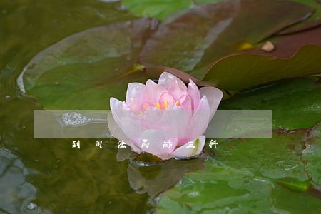 到司法局矫正科 到司法局矫正科